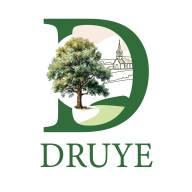 Logo DRUYE 2026
